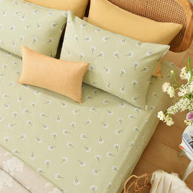 飞舞蒲公英系列床单枕套床单纯棉100全棉防滑夏季双人定制