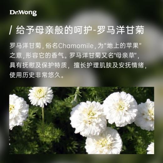 罗马洋甘菊纯露 商品图1