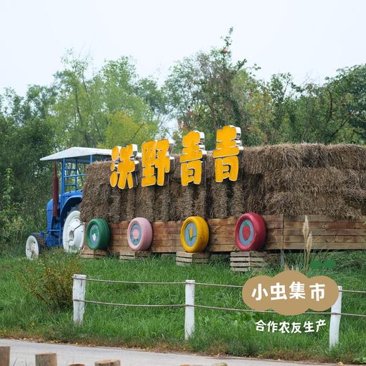 沃野生态萝卜（红萝卜/白萝卜/胡萝卜/青萝卜） | 合作农友生产，来自陕西咸阳，生产者：郑力行 *【公平贸易农人定价】 商品图6