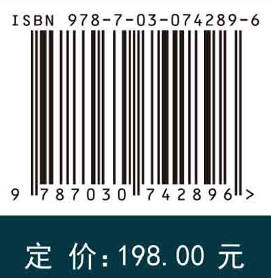 致密油气储层岩石物理相测井评价方法及应用 商品图2
