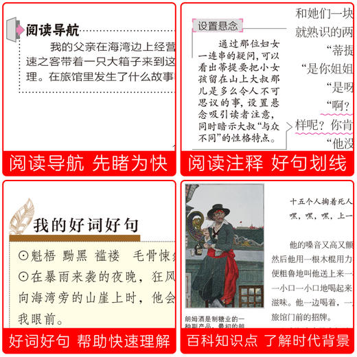 金银岛（世界文学名著拓展阅读 : 名师导读版） 商品图3