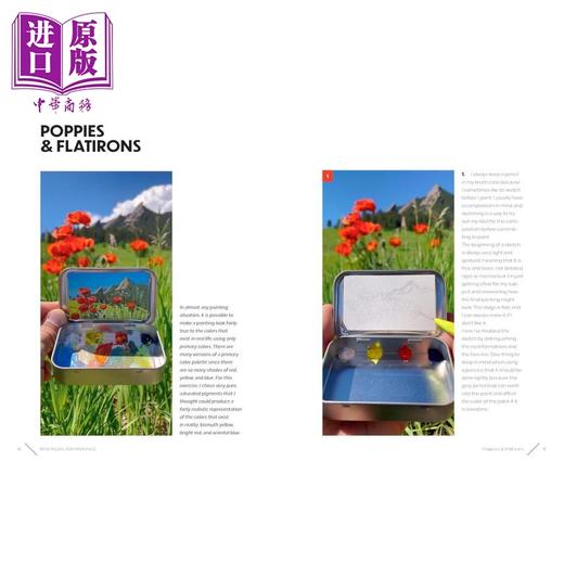 预售 【中商原版】Mini Plein Air Painting with Remington Robinson 进口艺术 雷明顿·罗宾逊:罐装微型油画艺术 商品图2