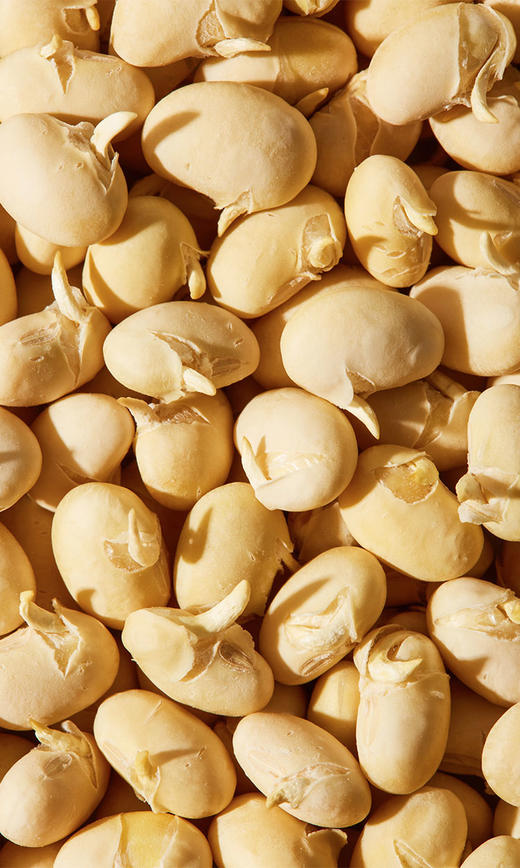 冻干发芽黄豆 商品图2