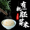 【善粮汇】有机弱碱胚芽米能发芽 东北黑土地 商品缩略图1