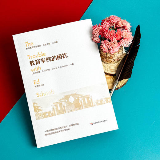 教育学院的困扰 教师教育哲学译丛 教育与教育政策的问题与发展 商品图5