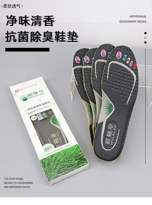 【靰鞡草】抗真菌除臭鞋垫 商品图0