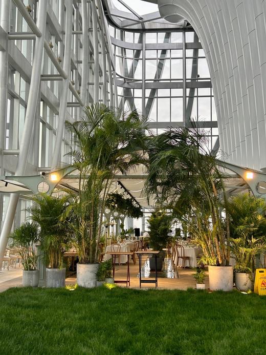 藏在云间的空中花园 商品图3