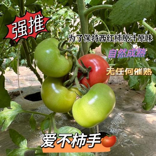 #新疆吐鲁番#儿时番茄味道【火焰山普罗旺斯西红柿】沙瓤肉细，不施化肥膨大剂催红素，火焰山沙质土壤冰雪种植灌溉，日夜温差大甜度够，生食炒菜皆可新疆空运直发 商品图3