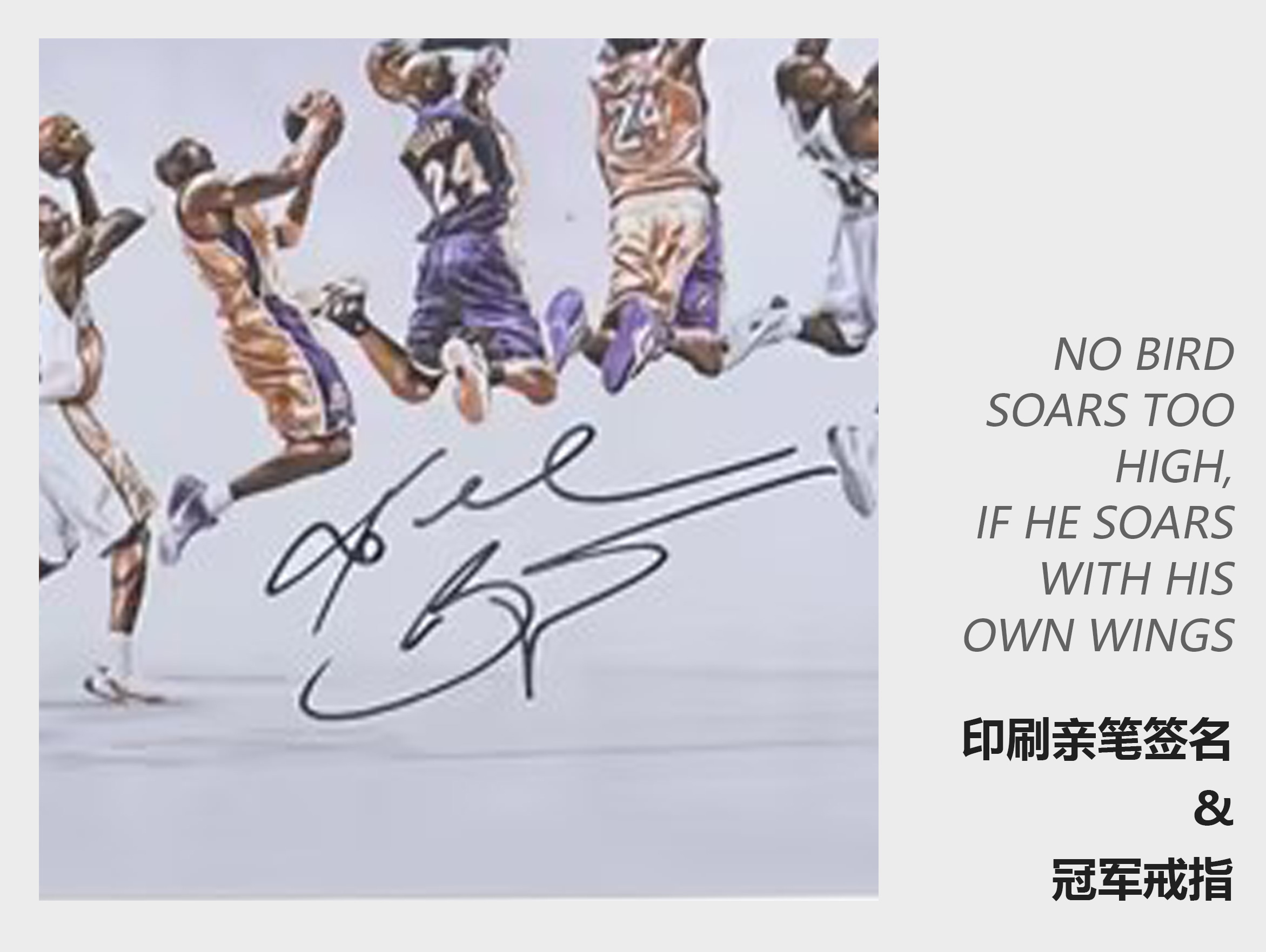 收藏系列 科比布莱恩特 装饰纪念画 豪华版