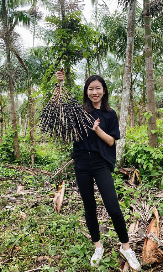 巴西莓粉 商品图3