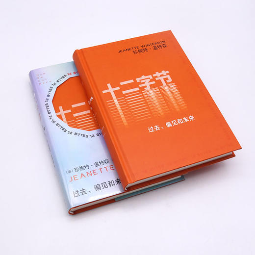 十二字节 过去、偏见和未来 商品图3