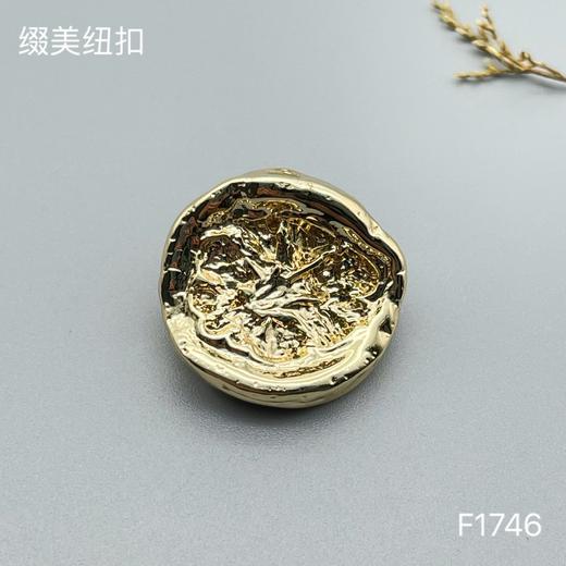 F1746 商品图3