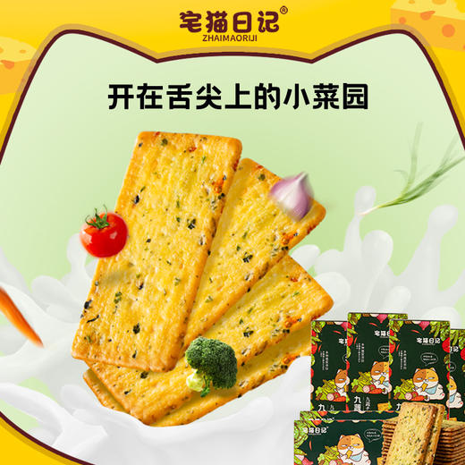 【宅猫日记】九蔬脆片饼干内含9种蔬菜营养宝藏118g*5 商品图0