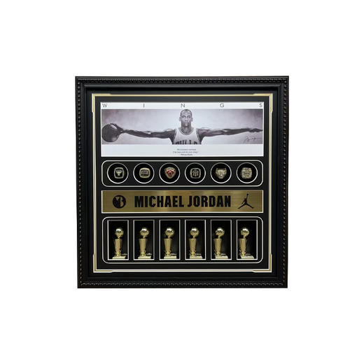 收藏系列 迈克尔乔丹 装饰纪念画 豪华版（非亲签） 商品图0