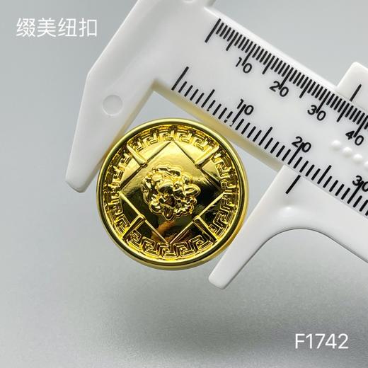 F1742 商品图5