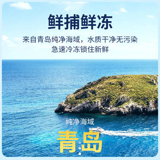 国产青岛大虾水产盐冻大虾 商品图3