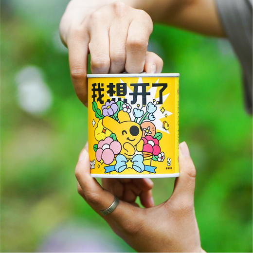 团团盆栽盲盒 商品图0