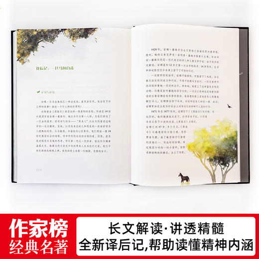 黑骏马，新增译后记、98幅原创插图！全新未删节插图版！ 商品图5