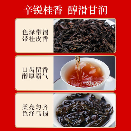 岩语 鉴山马头岩肉桂品鉴装 特级乌龙茶正宗武夷山正岩茶叶8.5g 商品图1