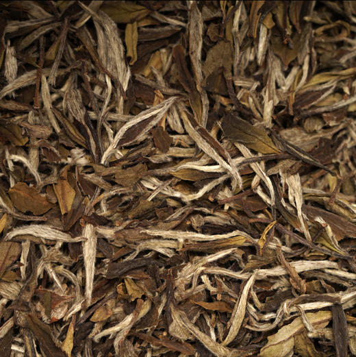 顺茗道丨2017年原香·特级白牡丹500g 商品图3