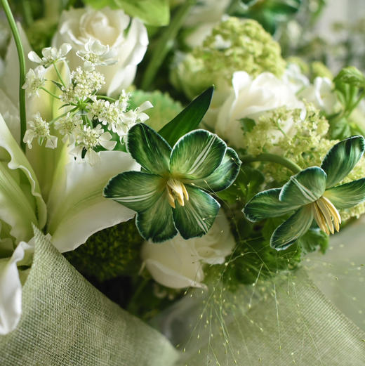 《绿里奇迹》白绿色春意盎然花束 商品图5