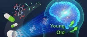 著名医学期刊Hepatology：补充NMN可提高NK细胞的抗肿瘤能力
