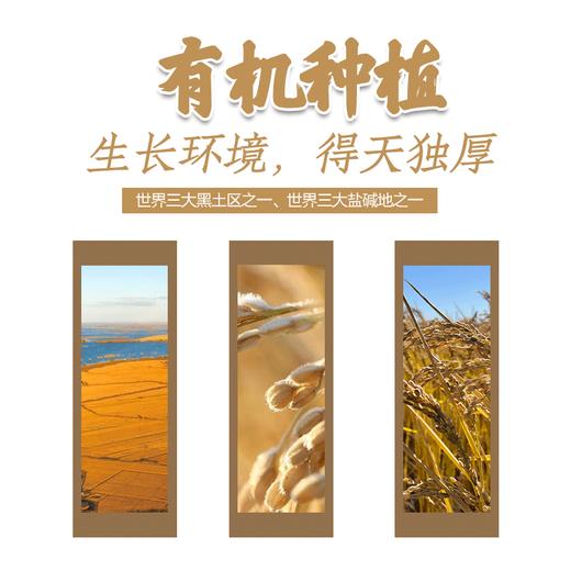 【善粮汇】有机弱碱胚芽米能发芽 东北黑土地 商品图5