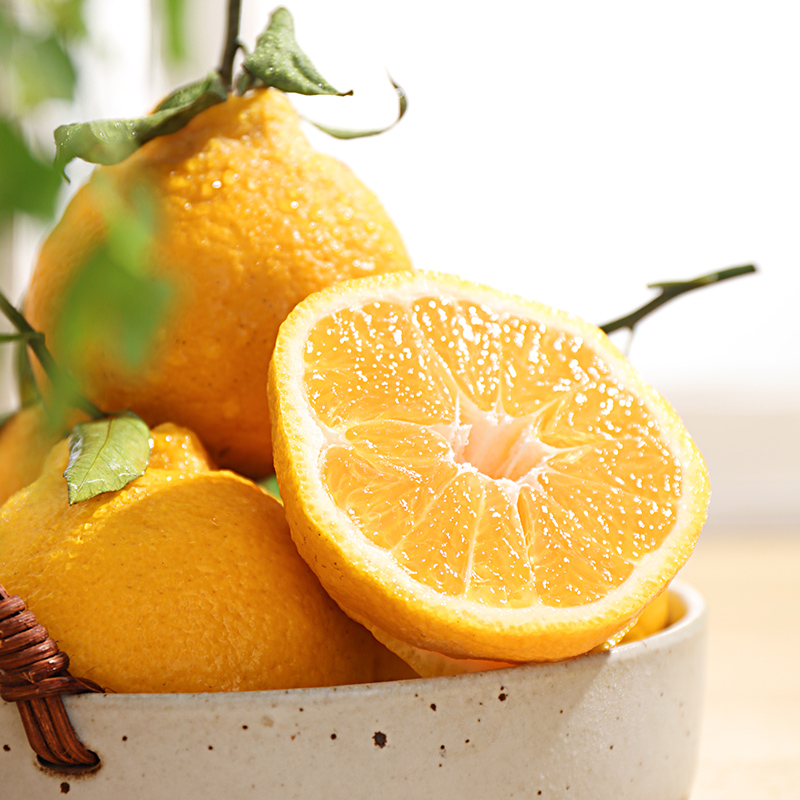 可用券【柠檬不知火上市！】橘子柑橘 丑橘怎么又和柠檬搞到一起了？ 99%的人没见过，稀有新品惊艳亮相，脆甜口感吃上一口停不下来