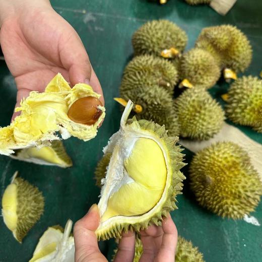 榴莲 软糯香甜 商品图1