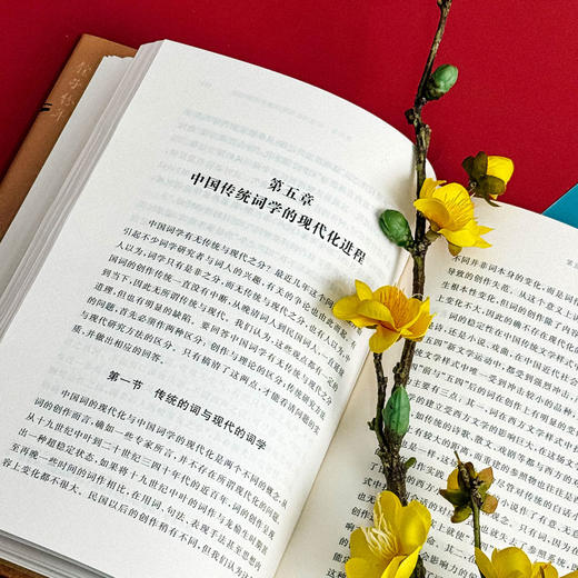 社会转型与晚清民国词学流变 学术文库 朱惠国著 商品图8