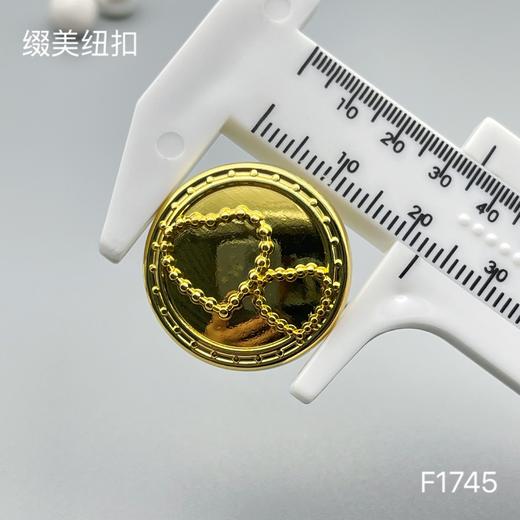 F1745 商品图5