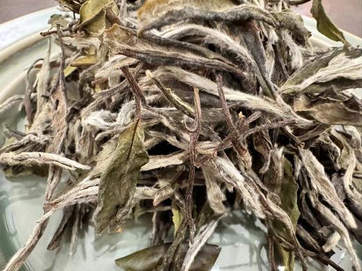 十年陈   老牡丹   毫香蜜韵  50克起 （2014年） 商品图3