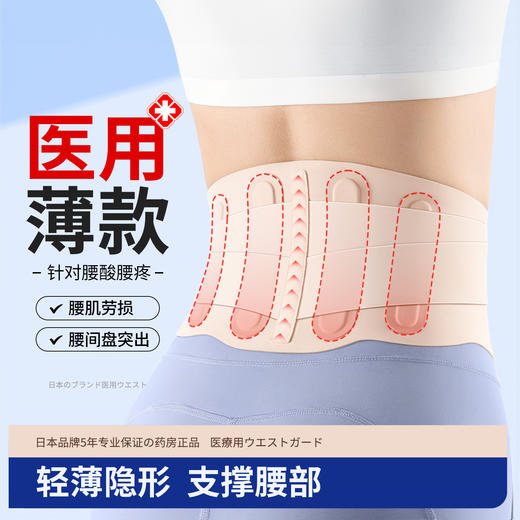 zeamo 拉力双加压护腰 轻薄隐形 支持腰部 商品图0