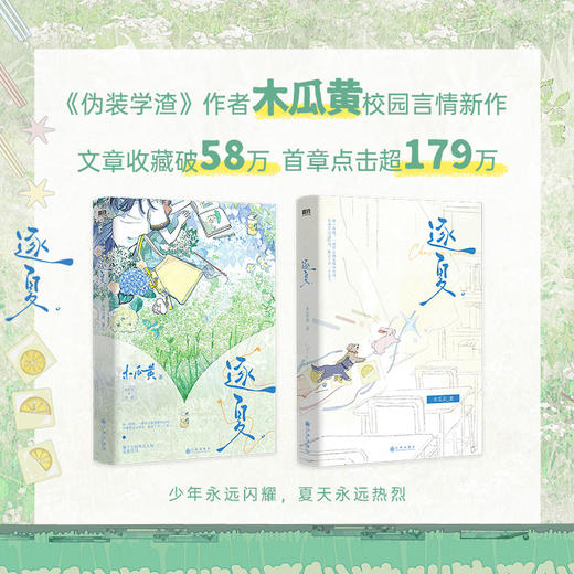 【磨铁】逐夏  木瓜黄著 商品图0