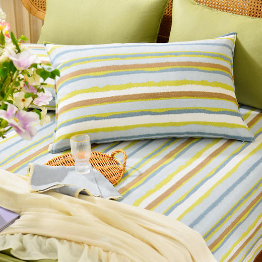 珊瑚条纹床单枕套床单纯棉100全棉防滑夏季双人定制 商品图1