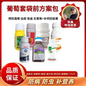 葡萄套袋前方案   一套10喷雾器或400斤  防虫防病补钙