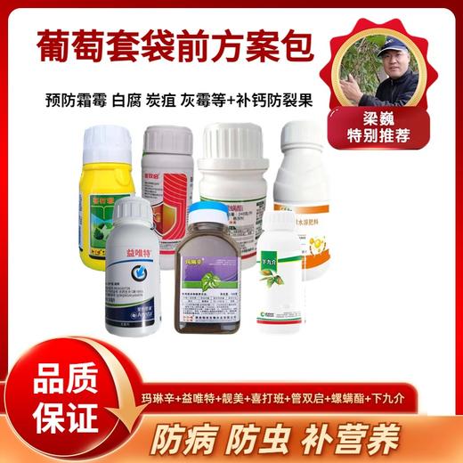 葡萄套袋前方案   一套10喷雾器或400斤  防虫防病补钙 商品图0