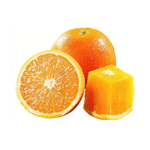 伦晚春橙净重5斤大果（约10-14个） 商品图0