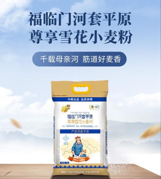 福临门尊享河套雪花粉5kg 商品图1