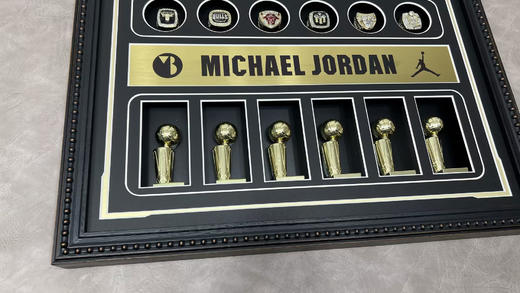 收藏系列 迈克尔乔丹 装饰纪念画 豪华版（非亲签） 商品图3