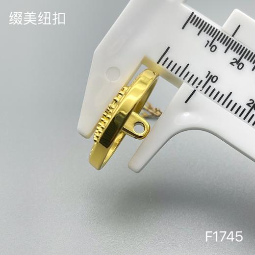 F1745 商品图6