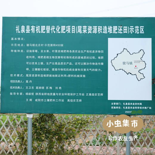 沃野生态萝卜（红萝卜/白萝卜/胡萝卜/青萝卜） | 合作农友生产，来自陕西咸阳，生产者：郑力行 *【公平贸易农人定价】 商品图8