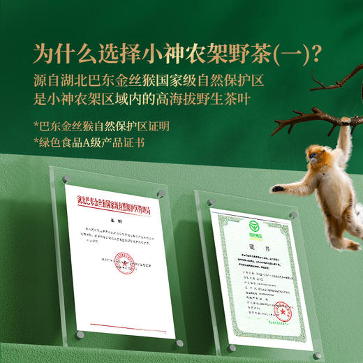 正山堂巴东红 小神农架野茶 骏眉红茶湖北特级红茶罐装30g/50g 商品图2