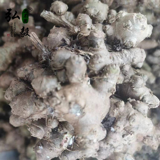 【弘毅六不用生态农场】六不用 藤三七 商品图0