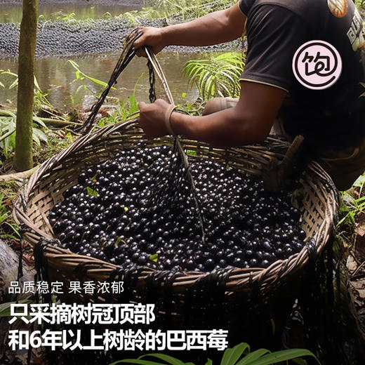 王饱饱天然粉粉 生可可粉/羽衣甘蓝粉/巴西莓粉 天然香醇营养 花青素果蔬纤维粉冲饮 150g/105g/盒 商品图3