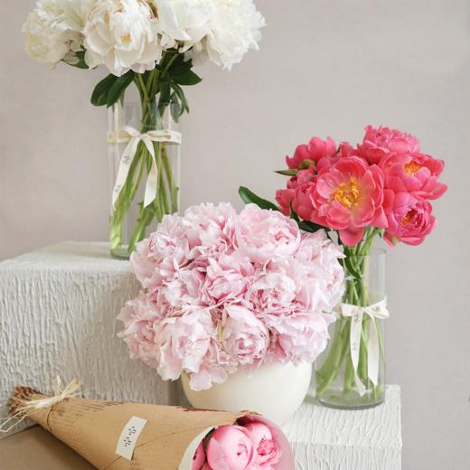 「Peony Season」芍药限定订阅 商品图0