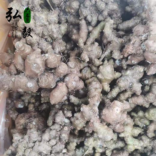 【弘毅六不用生态农场】六不用 藤三七 商品图1