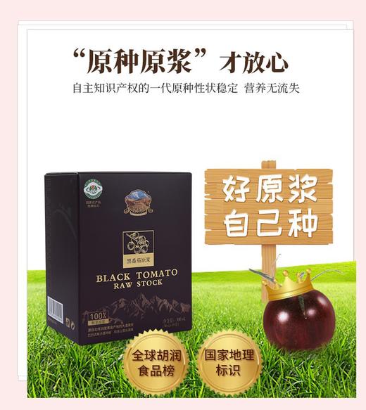 DMZG-黑番茄100%原浆 商品图3