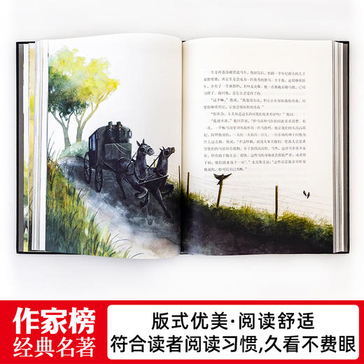 黑骏马，新增译后记、98幅原创插图！全新未删节插图版！ 商品图6