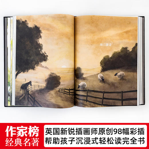 黑骏马，新增译后记、98幅原创插图！全新未删节插图版！ 商品图3